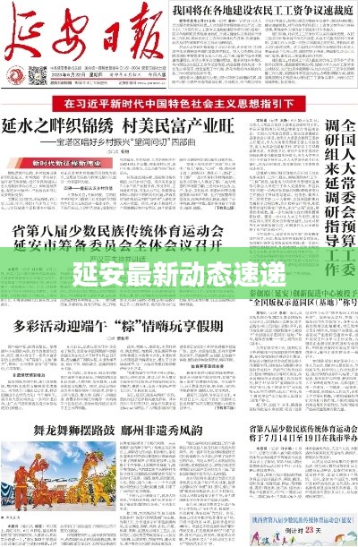 延安最新动态速递