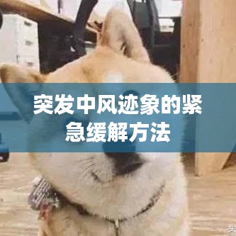 突发中风迹象的紧急缓解方法
