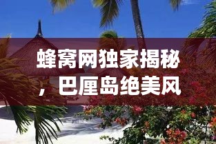 蜂窝网独家揭秘，巴厘岛绝美风光与旅行攻略！