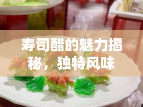 寿司醋的魅力揭秘，独特风味，吸引你的味蕾！