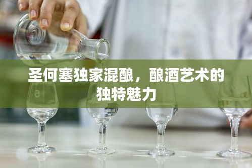 圣何塞独家混酿，酿酒艺术的独特魅力