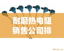 耐磨热电阻销售公司排行榜TOP - 专业评测与优选