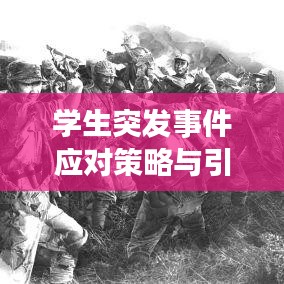 学生突发事件应对策略与引导之道