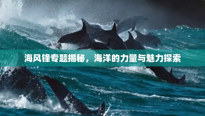 海风锋专题揭秘，海洋的力量与魅力探索