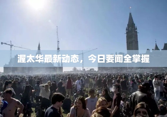 渥太华最新动态，今日要闻全掌握