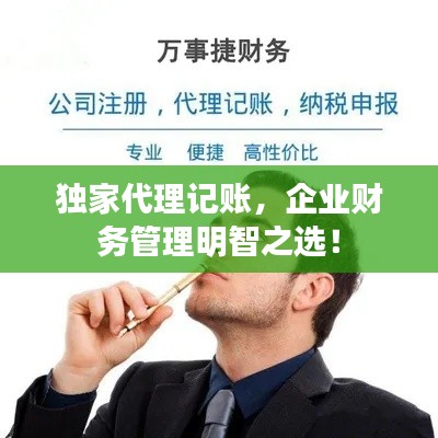 独家代理记账，企业财务管理明智之选！
