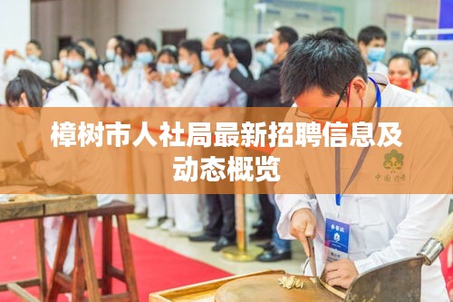 樟树市人社局最新招聘信息及动态概览