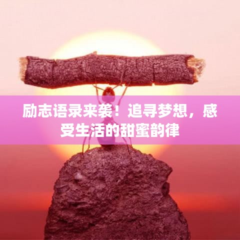 励志语录来袭！追寻梦想，感受生活的甜蜜韵律