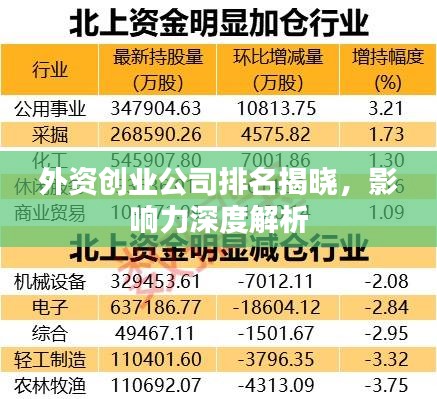 外资创业公司排名揭晓，影响力深度解析