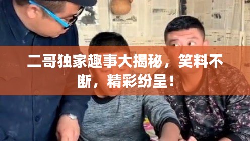 二哥独家趣事大揭秘，笑料不断，精彩纷呈！