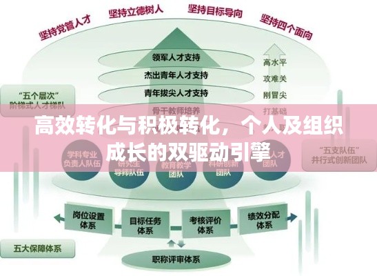 高效转化与积极转化，个人及组织成长的双驱动引擎