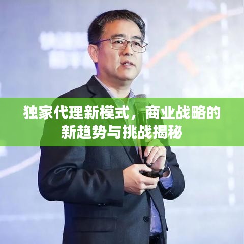 独家代理新模式，商业战略的新趋势与挑战揭秘