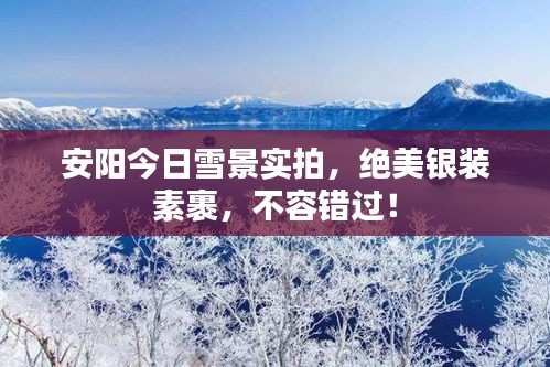 安阳今日雪景实拍，绝美银装素裹，不容错过！