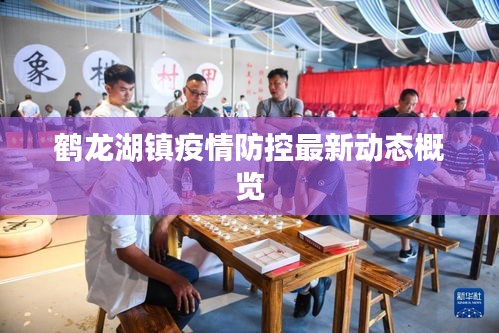 鹤龙湖镇疫情防控最新动态概览