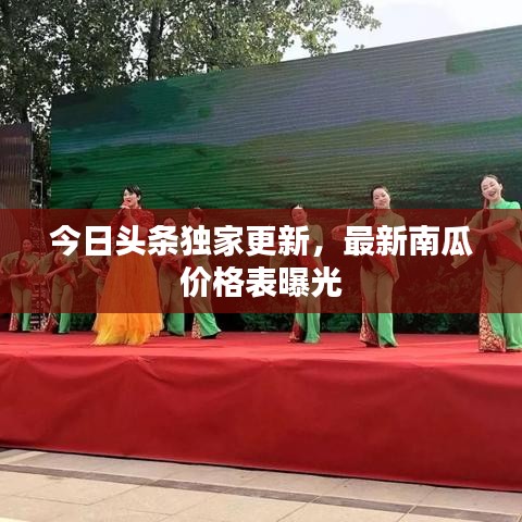 今日头条独家更新，最新南瓜价格表曝光