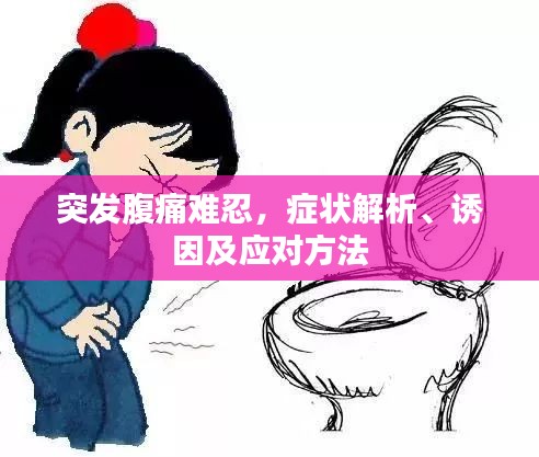突发腹痛难忍，症状解析、诱因及应对方法