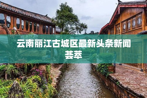 云南丽江古城区最新头条新闻荟萃