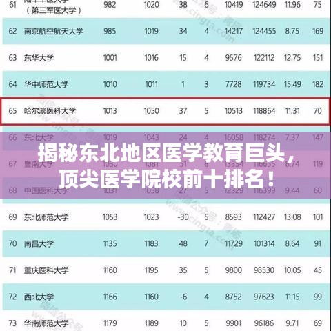 揭秘东北地区医学教育巨头，顶尖医学院校前十排名！