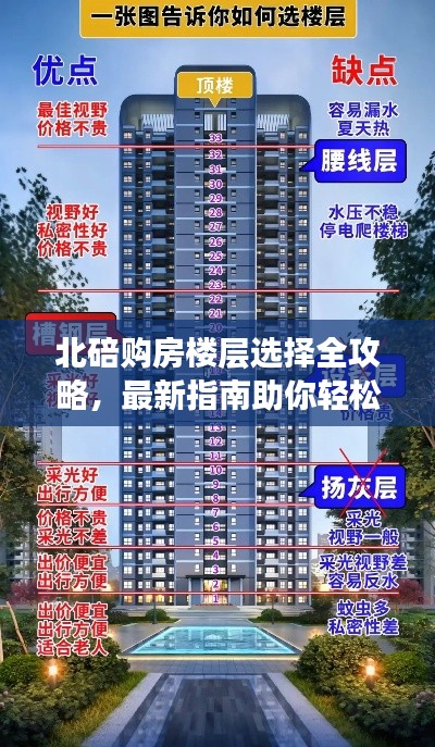 北碚购房楼层选择全攻略，最新指南助你轻松决策
