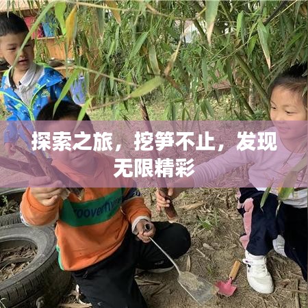 探索之旅，挖笋不止，发现无限精彩