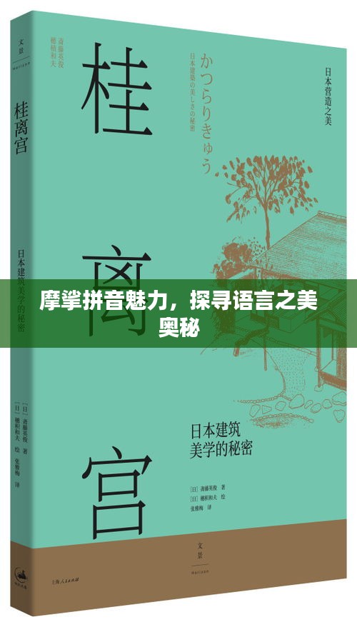 摩挲拼音魅力，探寻语言之美奥秘