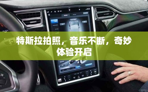 特斯拉拍照，音乐不断，奇妙体验开启