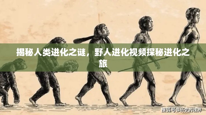 揭秘人类进化之谜，野人进化视频探秘进化之旅