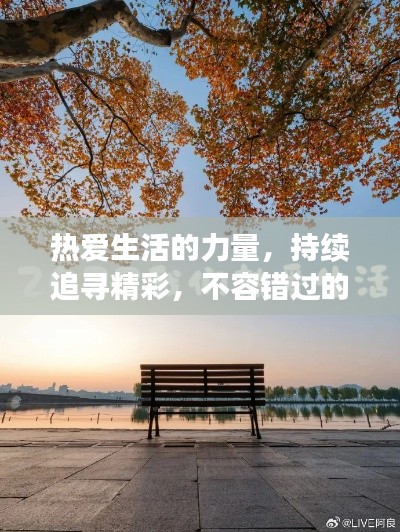 热爱生活的力量，持续追寻精彩，不容错过的关注焦点