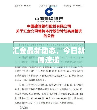 汇金最新动态，今日新闻速递