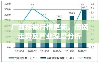 广西辣椒行情更新，市场走势及产业深度分析