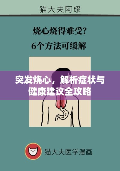 突发烧心，解析症状与健康建议全攻略
