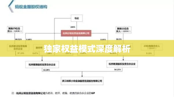 独家权益模式深度解析