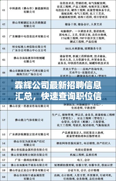 霖辉公司最新招聘信息汇总，快速查询职位信息