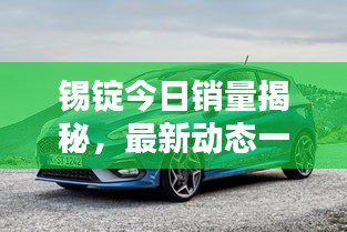锡锭今日销量揭秘，最新动态一网打尽