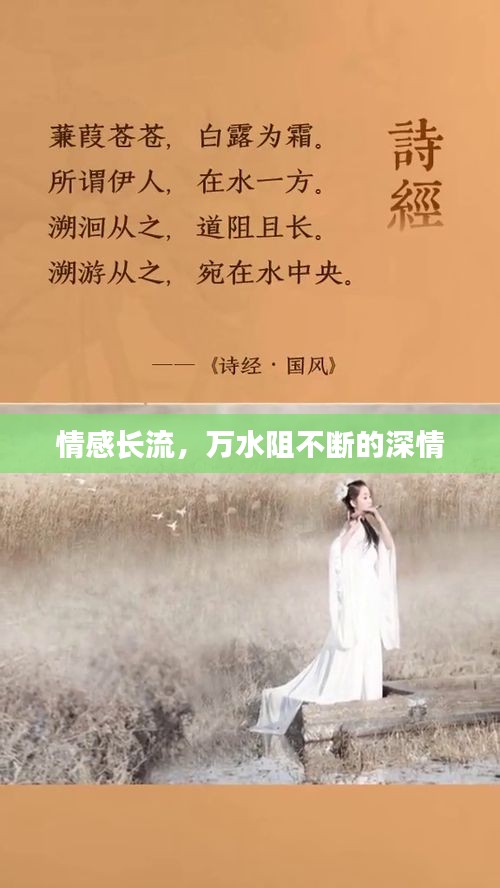 情感长流，万水阻不断的深情