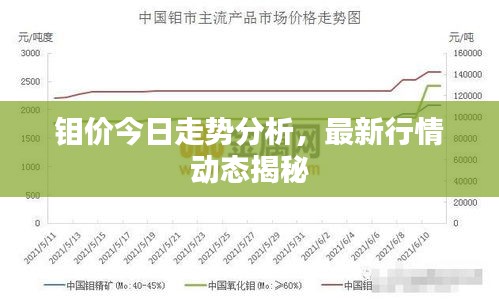 钼价今日走势分析，最新行情动态揭秘