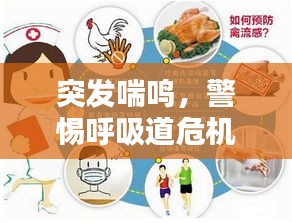 鲜花用途 第13页