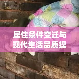 居住条件变迁与现代生活品质提升同步前行
