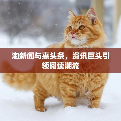 淘新闻与惠头条，资讯巨头引领阅读潮流