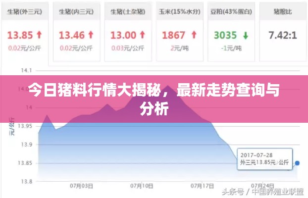 今日猪料行情大揭秘，最新走势查询与分析