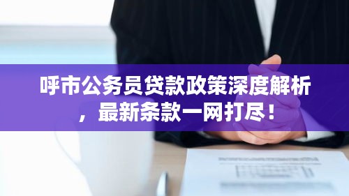 呼市公务员贷款政策深度解析，最新条款一网打尽！