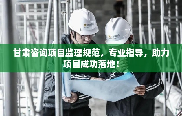 甘肃咨询项目监理规范，专业指导，助力项目成功落地！