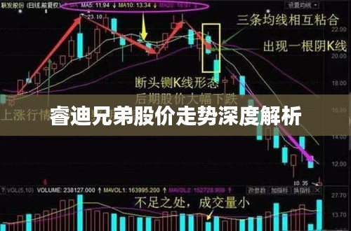 睿迪兄弟股价走势深度解析