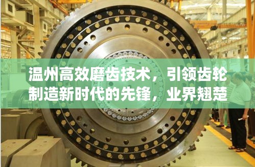 温州高效磨齿技术，引领齿轮制造新时代的先锋，业界翘楚！
