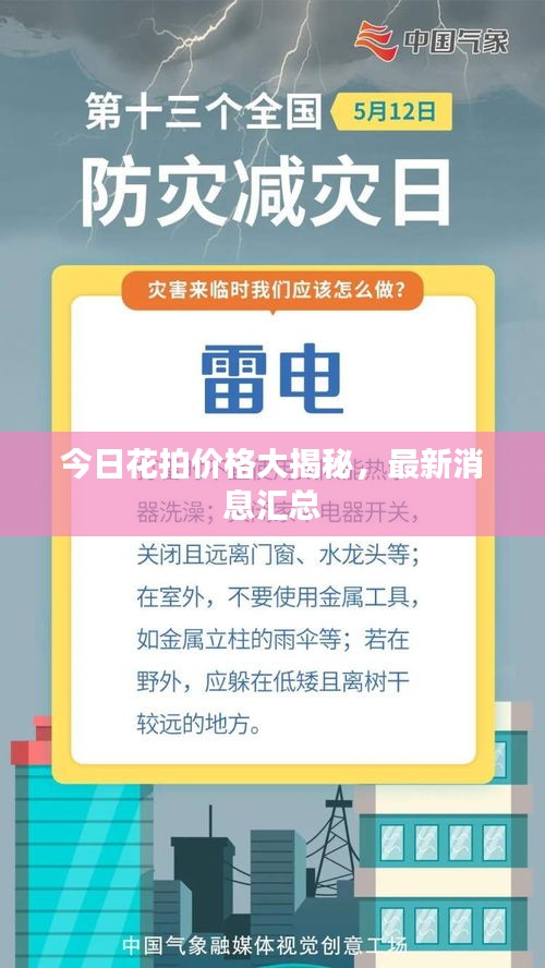 今日花拍价格大揭秘，最新消息汇总