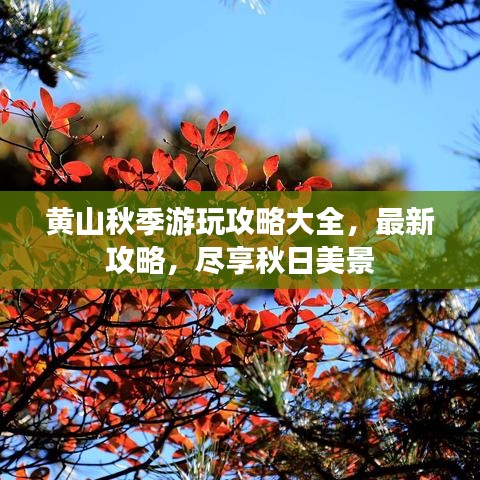 黄山秋季游玩攻略大全，最新攻略，尽享秋日美景