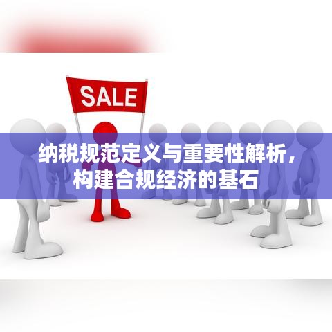 纳税规范定义与重要性解析，构建合规经济的基石