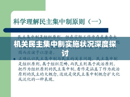 机关民主集中制实施状况深度探讨