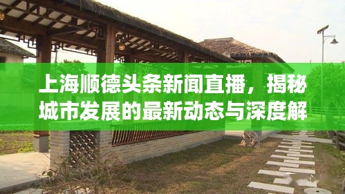 上海顺德头条新闻直播，揭秘城市发展的最新动态与深度解读