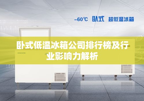 卧式低温冰箱公司排行榜及行业影响力解析